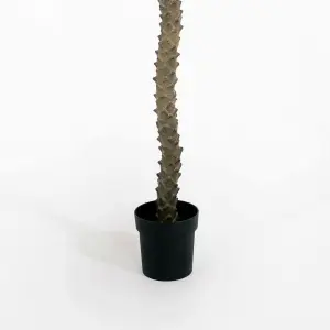 Blooming Artificial - 250cm / 8.25ft Fake Phoenix Palm