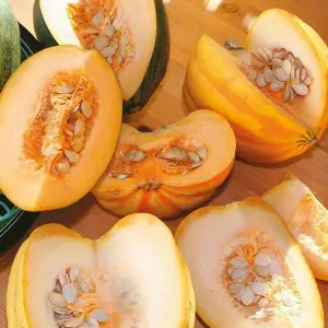 Squash (Winter) High Sugar Mixed F1 1 Seed Packet (10 Seeds)