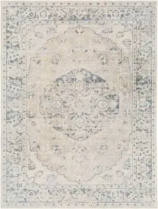 AMAYRA Machine Washable Vintage Area Rug 200 x 275 cm