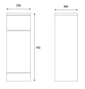 Dezine Velvare 250mm Gloss White Cupboard (300mm deep)