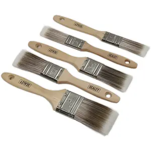 Premium 5 Piece Wooden Handle Paint Brush Set with Synthetic Filaments