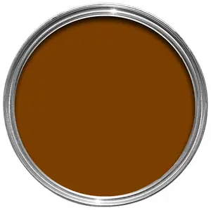 Rust-Oleum Painter's Touch Bronze effect Multi-surface paint, 20ml