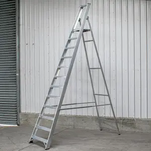 12 Step Industrial Platform Step Ladder