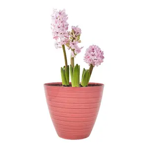 Savannah Pot Planter Round Plastic Pink Gloss Flower Plant Garden Patio 20cm