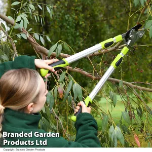 Telescopic Long Reach Anvil Lopper, Precise Cutting, Lightweight Extendable Reach up to 98cm, Comfort Grip Handles Garden Gear