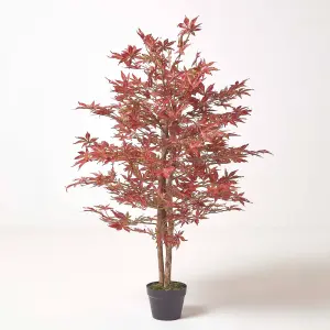 Homescapes Acer Tree in Pot, 120 cm Tall