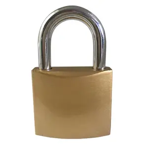 Ever Strong Iron Padlock (W)38mm