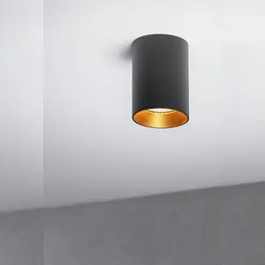 CGC Black Indoor Ceiling Spotlight With Gold Reflector