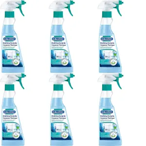 Dr. Beckmann Fridge Hygiene Cleaner 250ml (Pack of 6)