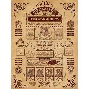 Harry Potter Quidditch Canvas Print Cream/Maroon (80cm x 60cm)