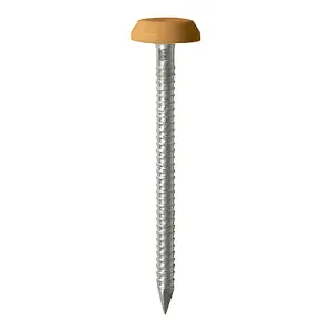 Timco - Polymer Headed Nails - A4 Stainless Steel - Oak (Size 50mm - 100 Pieces)