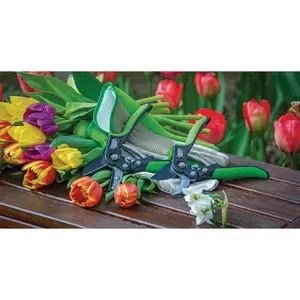 Draper Bypass Pattern Secateurs, 200mm 94982