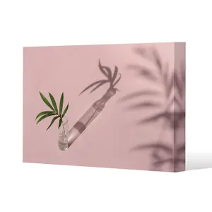 Botanical leaf on pink (Canvas Print) / 77 x 51 x 4cm