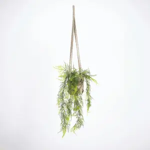 Blooming Artificial - 80cm / 2.5ft Fake Hanging Plumosus Fern