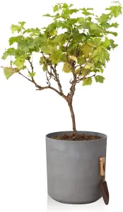 Primrose Volcanic Grey Cylinder Round Outdoor Plant Pot Planter 43cm