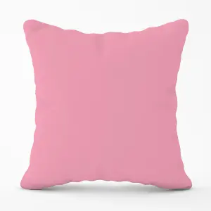 Baby Pink Outdoor Cushion 45cm x 45cm