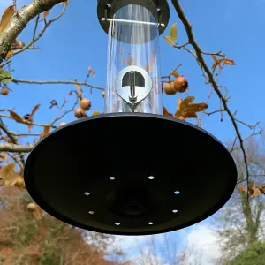 Heavy Duty Metal Bird Seed Feeder with Seed Catcher Tray