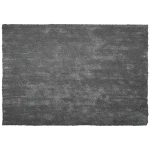 Shaggy Area Rug 160 x 230 cm Dark Grey DEMRE