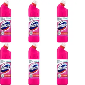 Domestos Pink Bleach 750ml (Pack of 6)