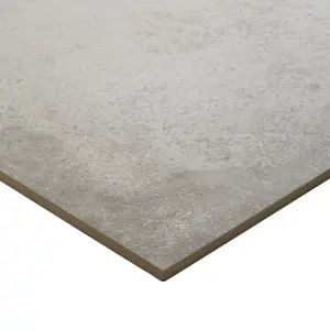 Colours Kontainer Light grey Matt Flat Concrete effect Porcelain Wall & floor Tile Sample