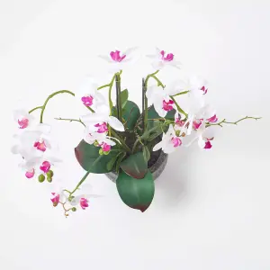 Homescapes White Orchid 52 cm Phalaenopsis in Cement Pot Extra Large, 5 Stems