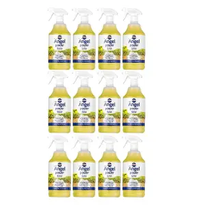 Nilco Angel Power 12L Garden Decking Wooden Floor Cleaner & Trigger Foam 12x 1L