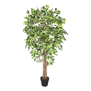 Homescapes Variegated Green Ficus Tree Artificial Plant with Twisted Trunk, 6 Ft