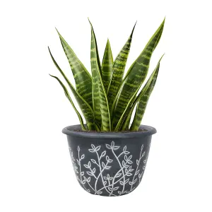 Serenity Pot Planter Round Plastic Black White Flower Plant Garden Patio 25cm