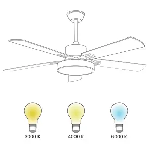 Ceiling Fan with Light Green and Light Wood HOBBLE