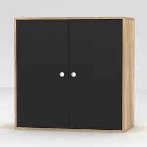 Elyssa 60Cm H x 60Cm W x 30Cm D Wall Cabinet Oak/Black