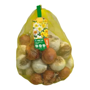 Tall Daffodil Mix Flower bulbs, 3kg