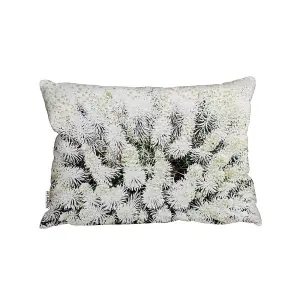 Beautifully White (Outdoor Cushion) / 45cm x 30cm