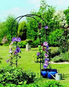 Garden Arch Metal Plant Support