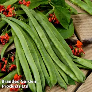 Runner Bean Scarlet Empire 1 Seed Packet (30 Seeds)