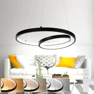 Altherr 1 - Light Novelty Pendant Schwarz