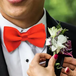 Red Satin Polyester Bow Tie for Casual & Formal Wear, Wedding Party Accessory