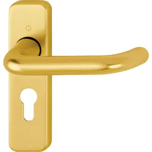 Amarachi Right Door Handle Aluminium Gold