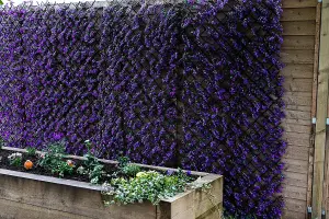 Vivid Violet Topiary Trellis 180 x 90cm Artificial Leaf Trellis Garden Screen