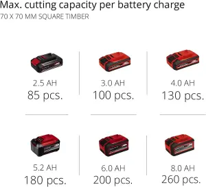Einhell 18v Cordless Chainsaw 25cm Bar Oregon Chain PXC Heavy Duty 4ah 3ah Batts