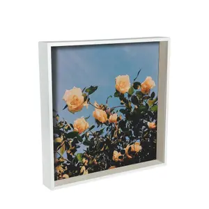 Nicola Spring - 3D Deep Box Photo Frame - 16 x 16"