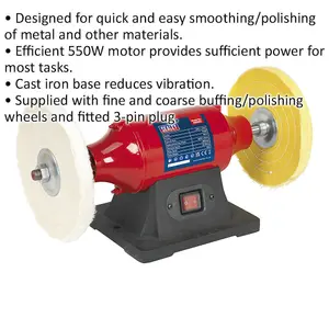 High-Performance 200mm Bench Mounted Buffer and Polisher with 550W Motor