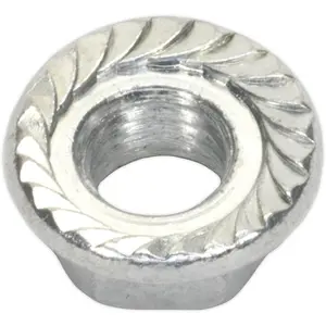 Pack of 100 Zinc Plated Serrated Flange Nuts M5 - Durable DIN 6923 Fasteners