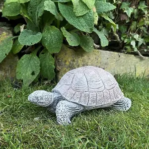 Small Stone Cast Tortoise Garden Ornament