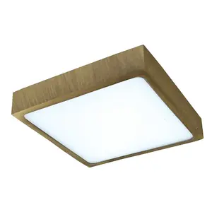 Luminosa Kaju Surface Mounted LED Downlight Square 30W Brass