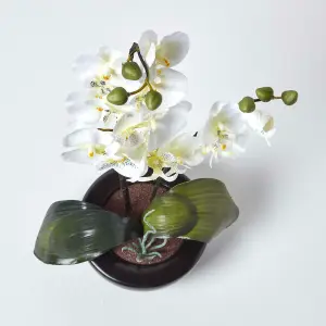 Homescapes Oriental Style Cream Orchids in Black Bowl