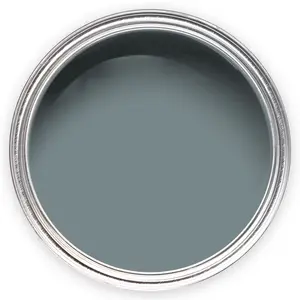 Annie Sloan Wall Paint 120ml Cambrian Blue