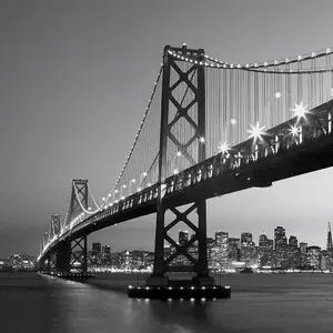 San Francisco Skyline Mural - 384x260cm - 5407-8