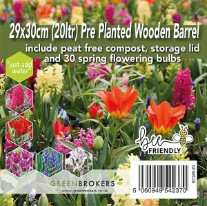 Pre-Planted Wooden Barrel Planter-30 Red & Yellow Spring Flowering Bulbs-Just Add Water-29x30cm-Peat-Free Compost-Bee-Friendly Mix