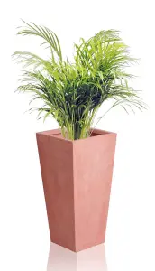 Primrose Terracotta Fibrecotta Tall Flared Square Planter 51cm