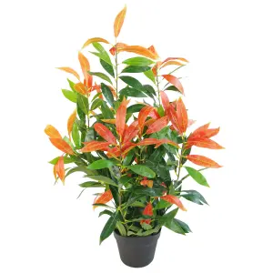 80cm Artificial Red and Green Ficus Plant